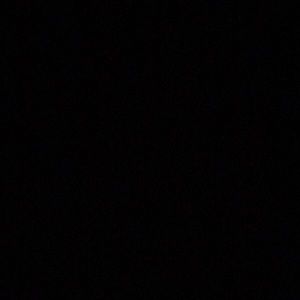 Meet your Posher, Audrey